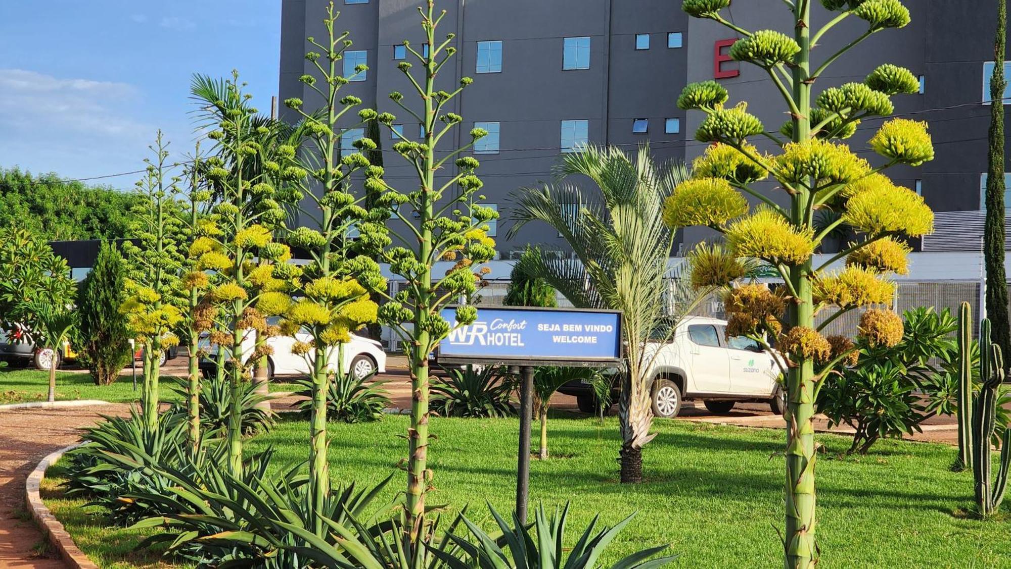 Wr Confort Hotel Campo Grande Esterno foto